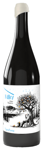 Halley Vino Bianco 2023 Cl.75 - VignaVasta